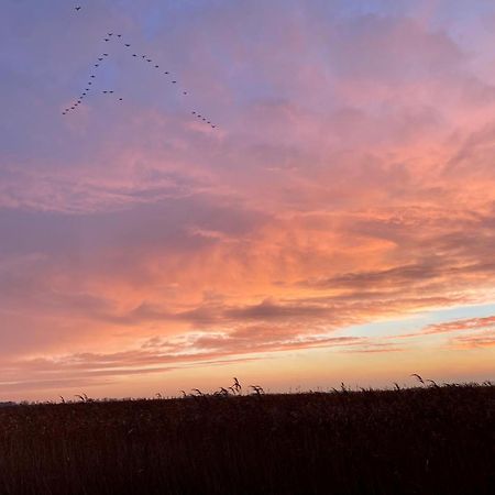 Deichkoje12 Direkt Am Eiderdeich Nur 7 Km Bis Zur Nordsee Und 20 Min Bis Sankt Peter Ording 通宁 外观 照片