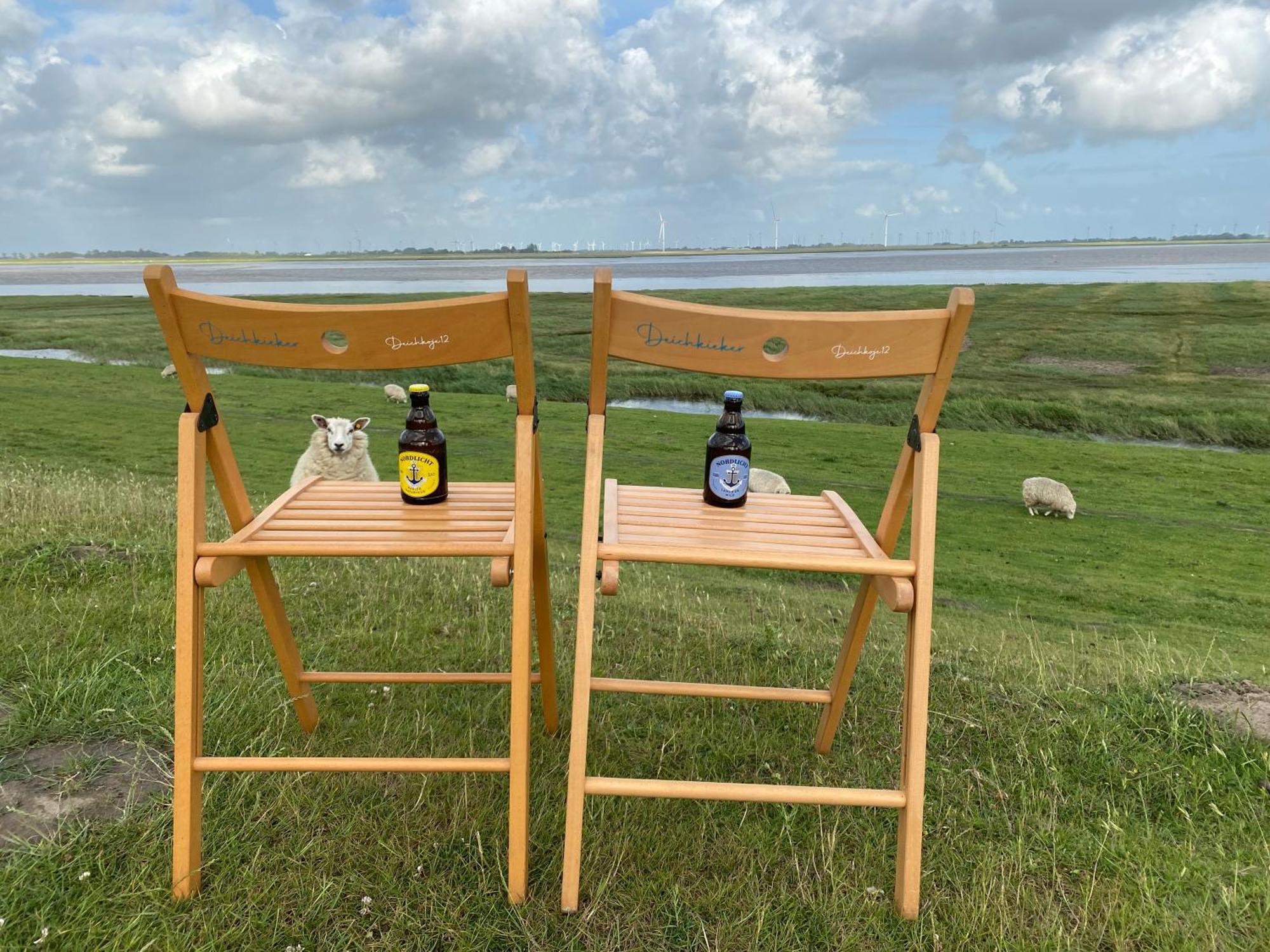 Deichkoje12 Direkt Am Eiderdeich Nur 7 Km Bis Zur Nordsee Und 20 Min Bis Sankt Peter Ording 通宁 外观 照片
